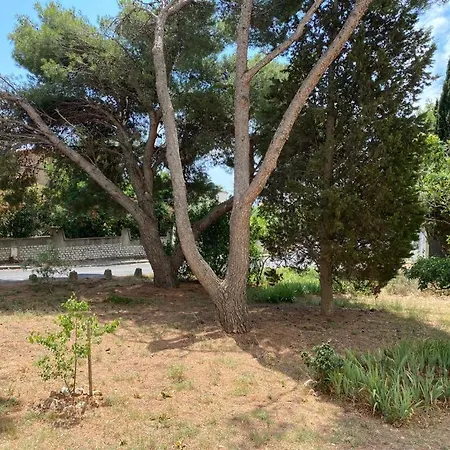 Jolie T3 Proche De La Mer Appartamento Sète